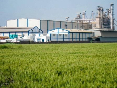 MAHESHWAR RICE MILL logo